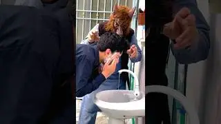 Fake Bull prank🤫😂 #funny #pranks #viralvideo #comedy #shorts