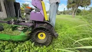 I SHOCKED a RANDOM homeowner with a SURPRISE overgrown yard makeover HEARTWARMING 01