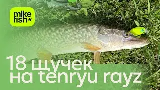 Как ловит щуку Tenryu Rayz 610? Прекрасно! 18 щучек на лайтовый спиннинг