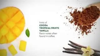 Starbucks Premium Select Collection Corporate Web Video
