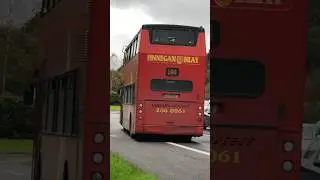 Finnegan Bray: Route 144 | ALX400 (ex-DB AV341) | Southern Cross Road, Bray | 11/2/2023