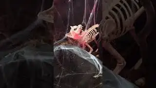 Halloween deco Zouk restaurant Manchester