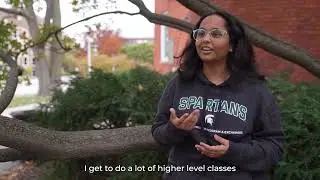 The Honors College admissions process for current MSU students