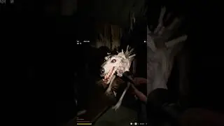 How did she end up in this house?