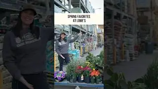 Best plants at Lowe&rsquo;s
