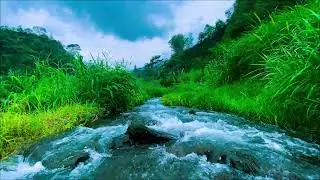 Nature Sounds River Flowing Sound Effect Short Relaxing Sounds For Sleep Asmr