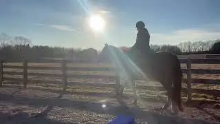 Rory Under Saddle