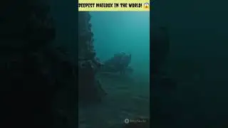Deepest Mailbox in the World! 😱 #shorts #youtubeshorts #facts #viral