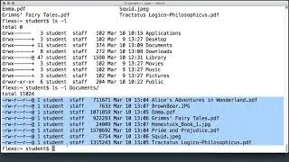 Shell P5 Parameters in Shell Script || 