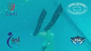 corso di apnea primo livello FDA  con istruttori Apnea Academy
