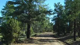 Hat Ranch1.AVI