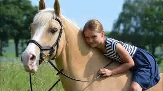 Malu (12) - Abschied von Dancer (19) am 21.02.2022