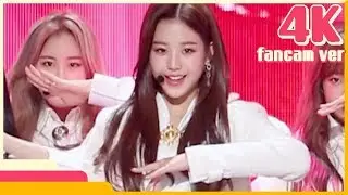 [4K & 직캠] IZ*ONE - La Vie en Rose (Jang Wonyoung) @Show! Music Core 20181103