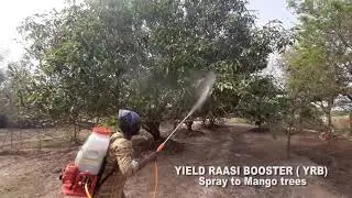 Yield Raasi Booster | YRB | MAK GOLD | Organic Farm Inputs | Organic Farming | MAK Sem Farm Activity