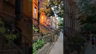 Sunset Park, a Charming Neighborhood in Brooklyn NY