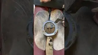 Satisfying hoof trim #satisfying #oddlysatisfying #asmr #farrier #horse
