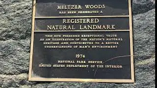 Meltzer Woods, a National Natural Landmark