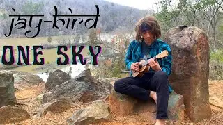 jay-bird - 