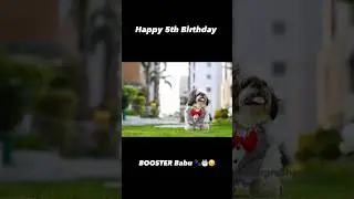 Happy 5th Birthday Booster