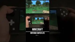 Minecraft Nintendo Switch Lite Gameplay - FPS Monitor