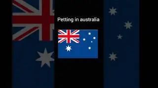 Normal People vs Australians Petting Cats #australia #cat #petting
