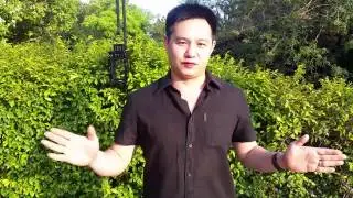 Laugh Die You - Douglas Lim