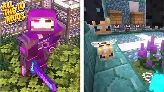 QUANTUM ARMOR and BIG BEE FARMS! [All the Mods 10 EP10]