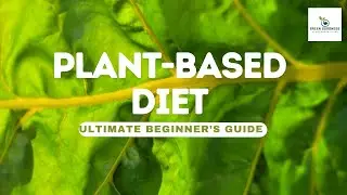 Ultimate Beginner's Guide to a Plant- Based Diet