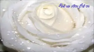 CÉCILE CAULIER by SLIMANE and LINA EL ARABI 1minutepapillon 2