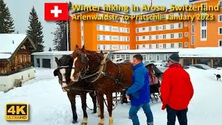 Winter Hiking in Arosa, Switzerland: Hiking from Arlenwaldstrasse to Pr&auml;tschli | January 2023【4K】
