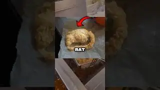 KFC&rsquo;s Fried Rat 🤯🐀