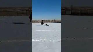 🤠🥶THE CH CREW 🥶🤠&ldquo;Don&rsquo;t Try This at Home 😅&rdquo;