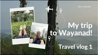 My Zostel Workation from Wayanad, Kerala | Travel Vlog 1 #travelvlog #kerala #wayanad #staycation