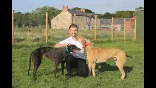 Tom Hielbron, trainer, Kennel Visit Star Sports #GreyhoundDerby2020