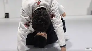 SLX Sweep | Overhead Leg Press Sweep | Team Doan