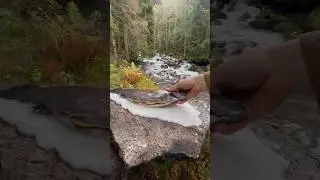 Taş &Uuml;zerinde Tuzda Alabalık Pişirme ? 🐟 / Cooking Trout in Salt on a Stone Stove