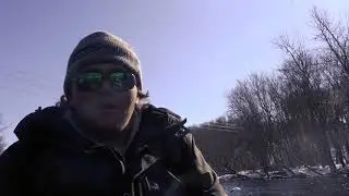 Pure Michigan Steelhead