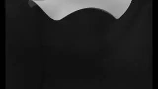 Waves in a rotating cone (2)