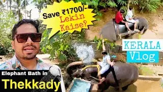 Elephant Bath & Ride in Kerala | Best Activity to do in Thekkady Vlog