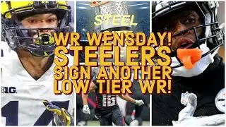 STEEL CITY LIVE! STEELERS SIGN A LOW TIER WR AGAIN!! #steelers #nfl