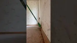 Move out clean 🧼 #limpieza #cleaninghouse #moveoutcleaning #cleaning #professionalcleaners