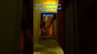 How To Make A Lot Of Money In Animal Company! (No Duping) #animalcompany #money