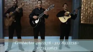 Serenatas Tríos Bogotá 3138932255 - Los Visconti