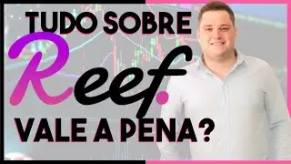 Reef Finance - Tudo o que você precisa saber sobre esta promissora Altcoin [GUIA BÁSICO]