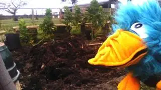 Gardening- Beaky finds out about jobs around the garden in March. Mrs Waters and Beaky the Bird