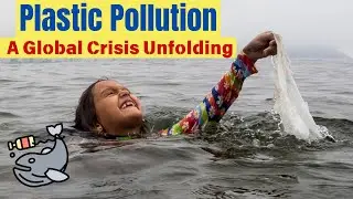 Plastic Pollution | A Global Environmental Crisis Unfolding 🐬🔥#currentaffairs