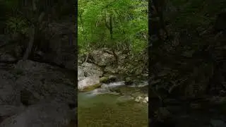 Melody of peace! Harmony! Relaxation!!!!! Harmony of peace#relaxing#relaxingmusic#relaxingvideo