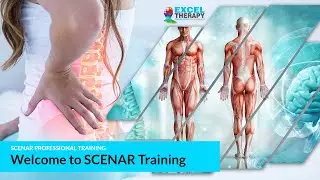 SCENAR Online Training