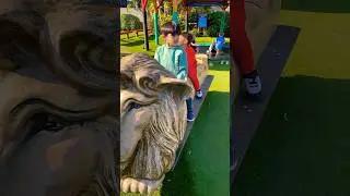 Drusillas Zoo Park UK 🇬🇧 #short #shorts #ytshorts #viralshorts #trending