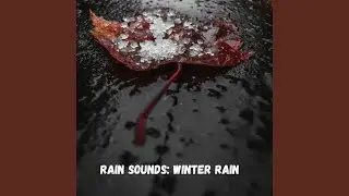 Rain Harmony